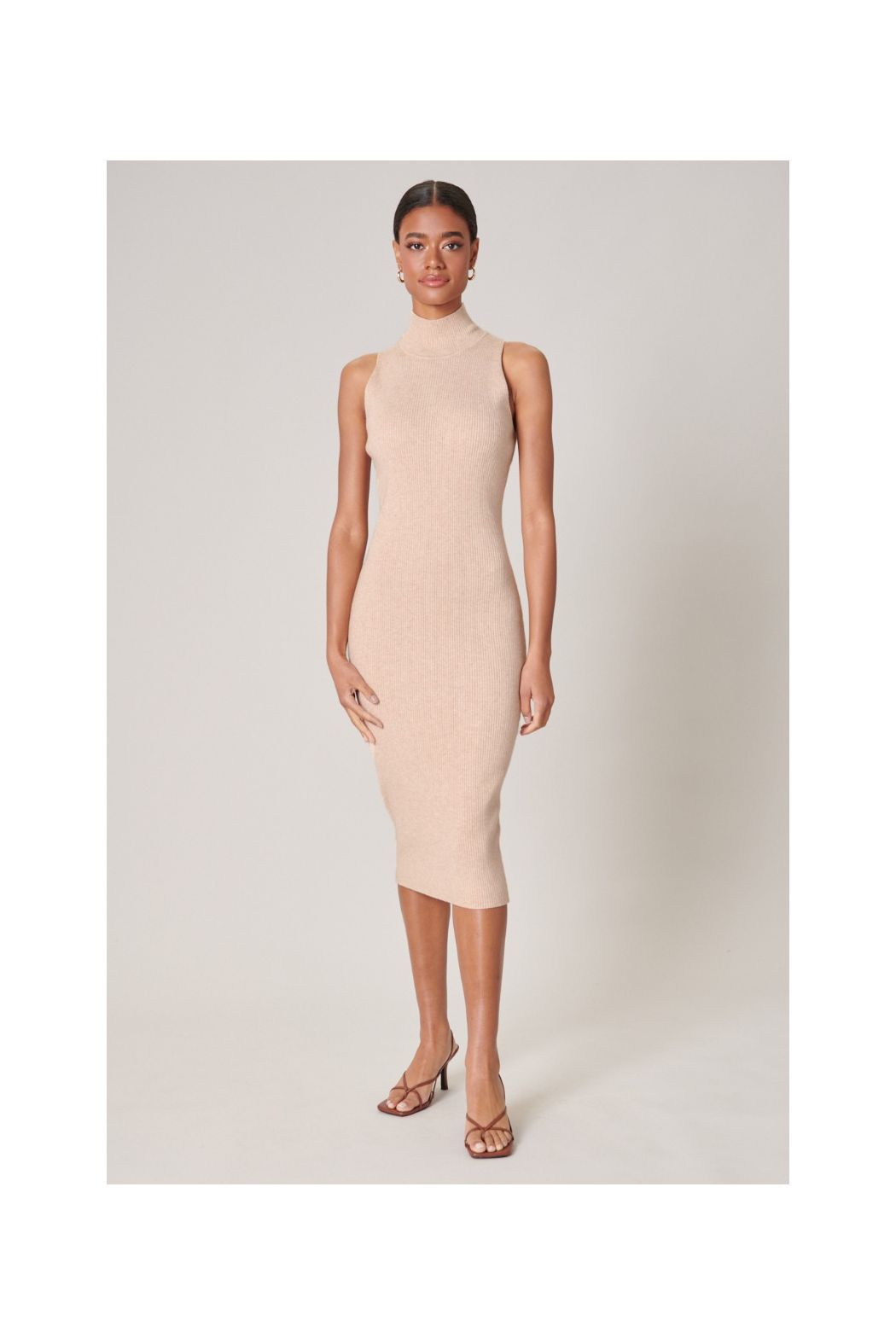 Kieran Ribbed Knit Turtleneck Sweater Dress - A301